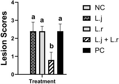 Molecular and cellular characterization of immunity conferred by lactobacilli against necrotic enteritis in chickens